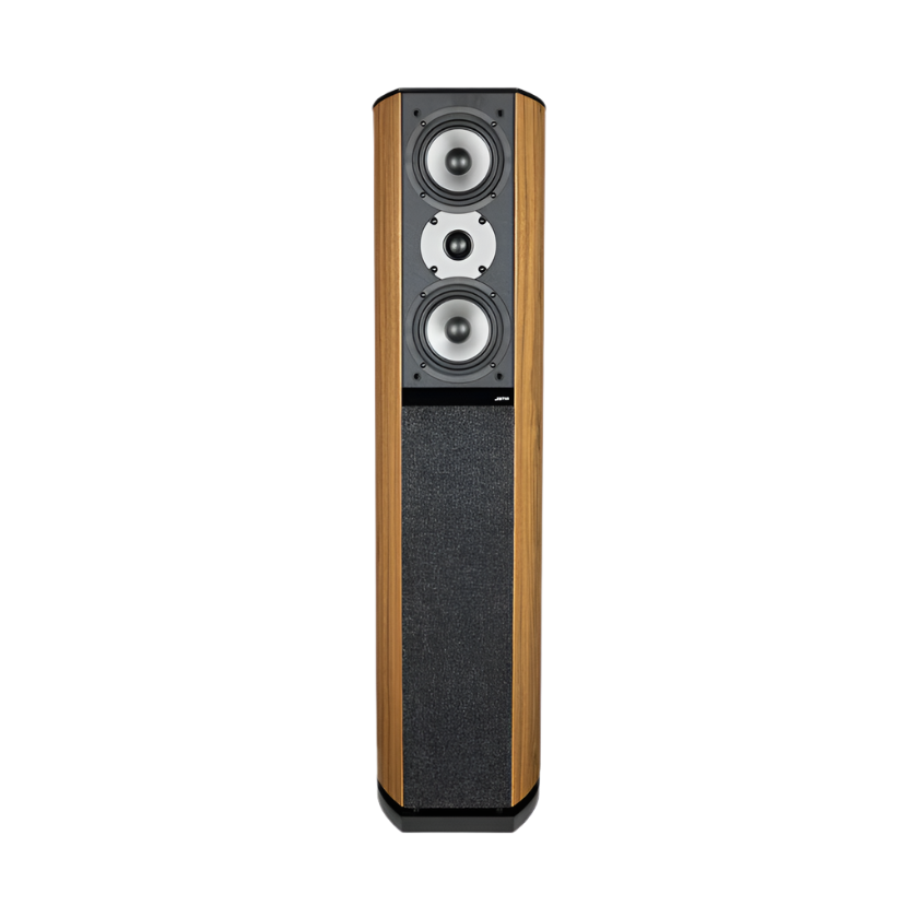 D590 Floor Standing Speaker