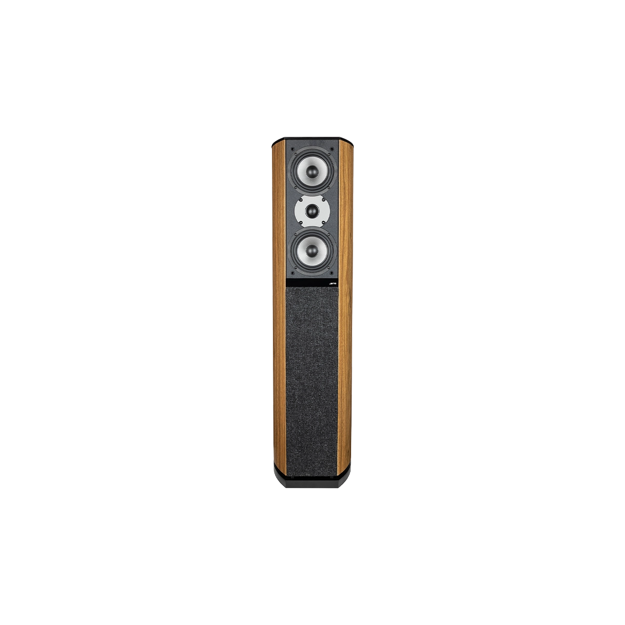 D590 Floor Standing Speaker